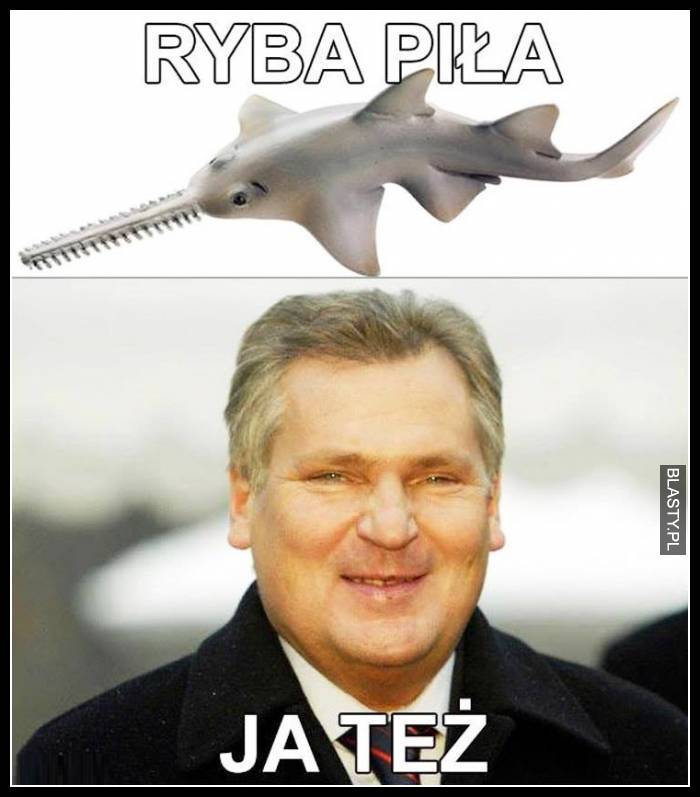 Ryba piła - ja też