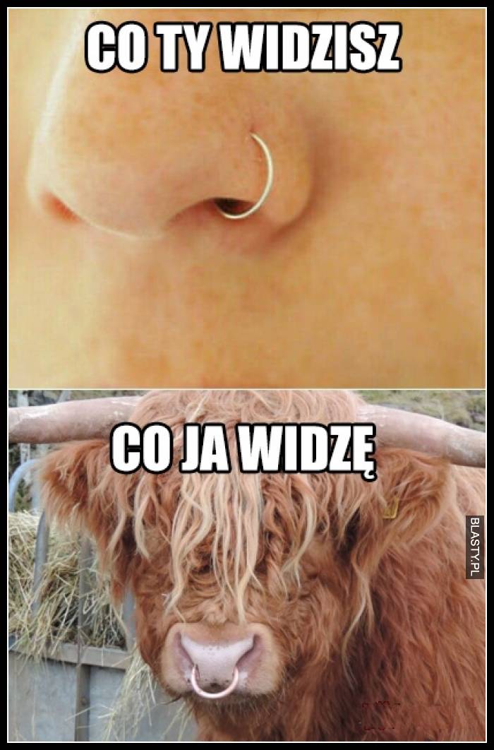 Co Ty widzisz vs co ja widzę