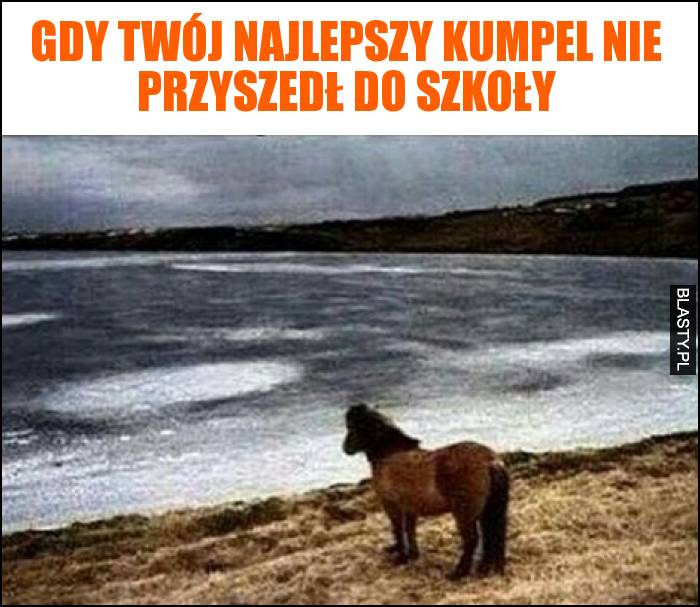 Gdy Twój najlepszy kumpel nie przyszedł do szkoły