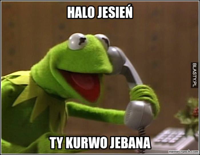 Halo jesień