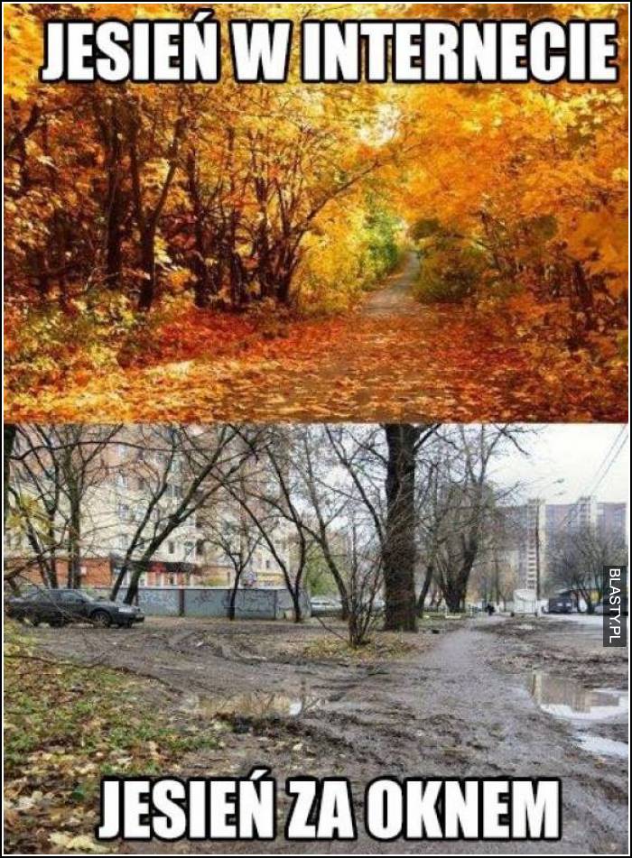 Jesień w internecie vs jesień za oknem
