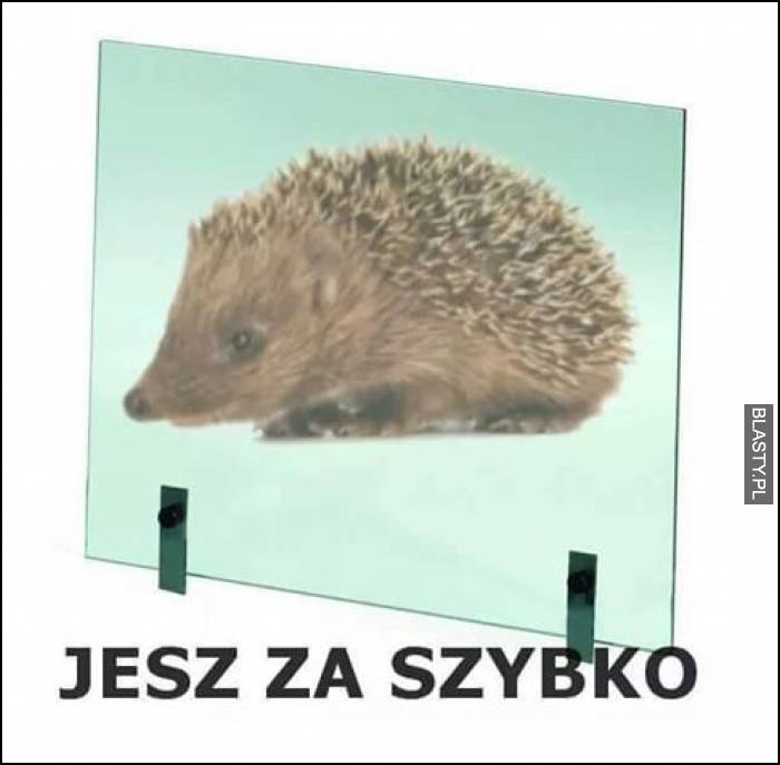 Jesz za szybko