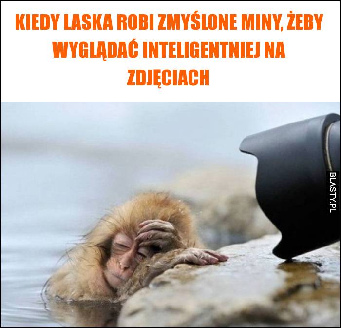 Kiedy laska robi zmyślone miny, żeby wyglądać inteligentniej na zdjęciach