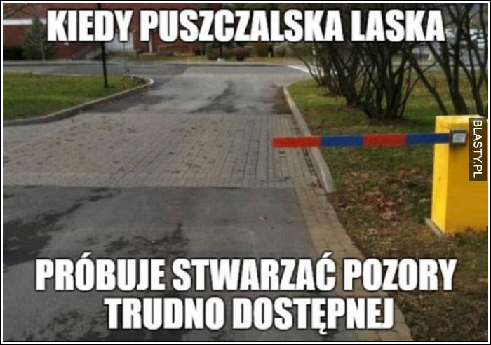 Kiedy puszczalska laska próbuje stwarzać pozory trudno dostępnej