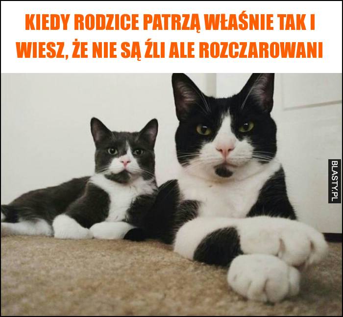 Kiedy rodzice patrzą właśnie tak i wiesz, że nie są źli ale rozczarowani