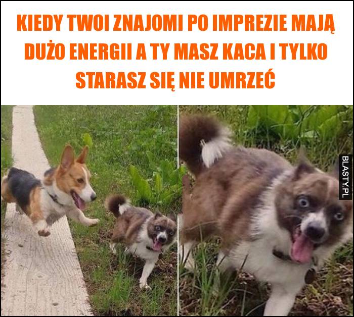 Kiedy Twoi znajomi po imprezie mają dużo energii a Ty masz kaca i tylko starasz się nie umrzeć