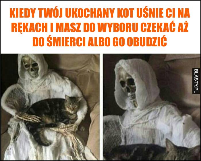 Kiedy Twój ukochany kot uśnie Ci na rękach i masz do wyboru czekać aż do śmierci albo go obudzić