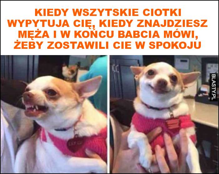 kiedy wszytskie ciotki wypytuja cię, kiedy znajdziesz męża