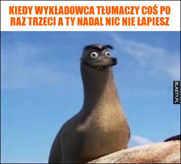 Kiedy wykładowca tłumaczy coś po raz trzeci a Ty nadal nic nie łapiesz