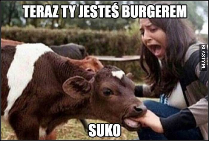 Teraz ty jesteś burgerem suko