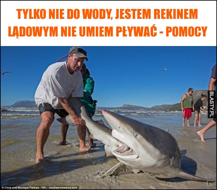 Tylko nie do wody, jestem rekinem lądowym nie umiem pływać - pomocy