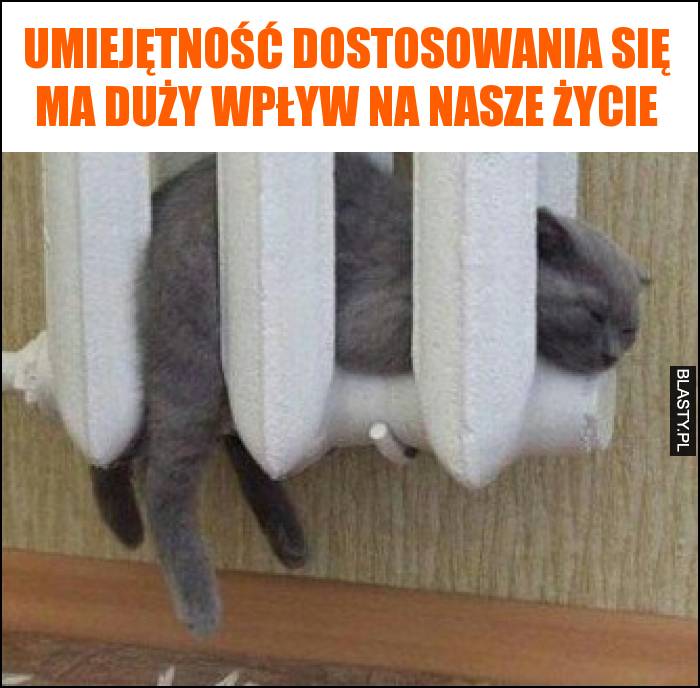 Umiejętność dostosowania się ma duży wpływ na nasze życie