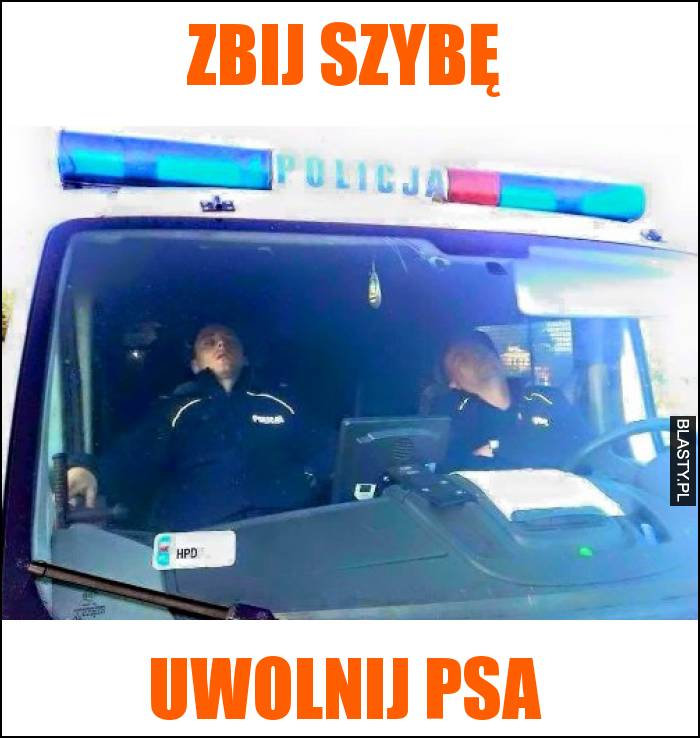 Zbij szybę, uwolnij psa