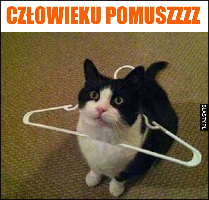 Człowieku pomuszzzz