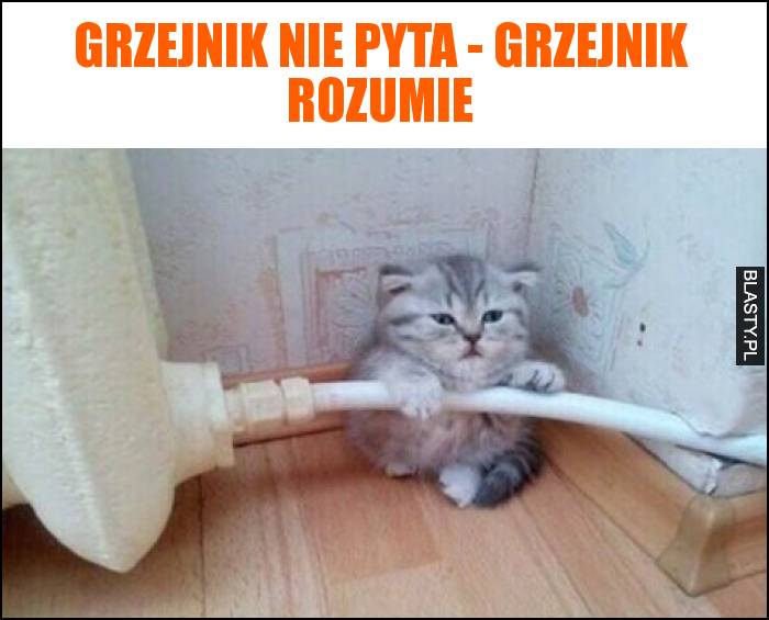 Grzejnik nie pyta - grzejnik rozumie