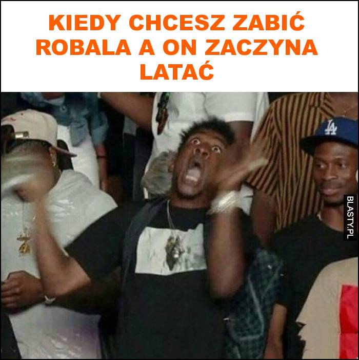 Kiedy chcesz zabić robala a on zaczyna latać