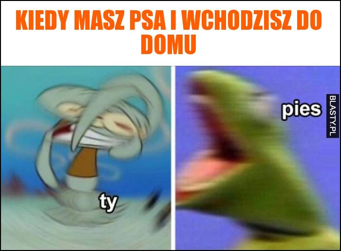 Kiedy masz psa i wchodzisz do domu