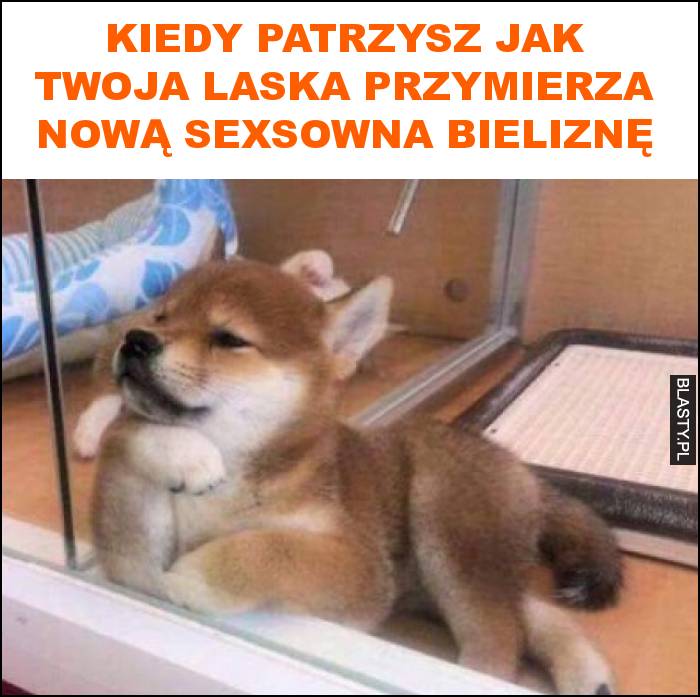 Kiedy patrzysz jak twoja laska przymierza nową sexsowna bieliznę