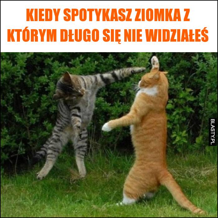 Kiedy spotykasz ziomka z którym długo się nie widziałeś