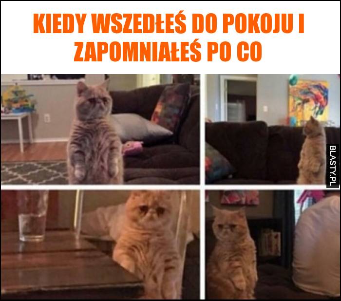 Kiedy wszedłeś do pokoju i zapomniałeś po co