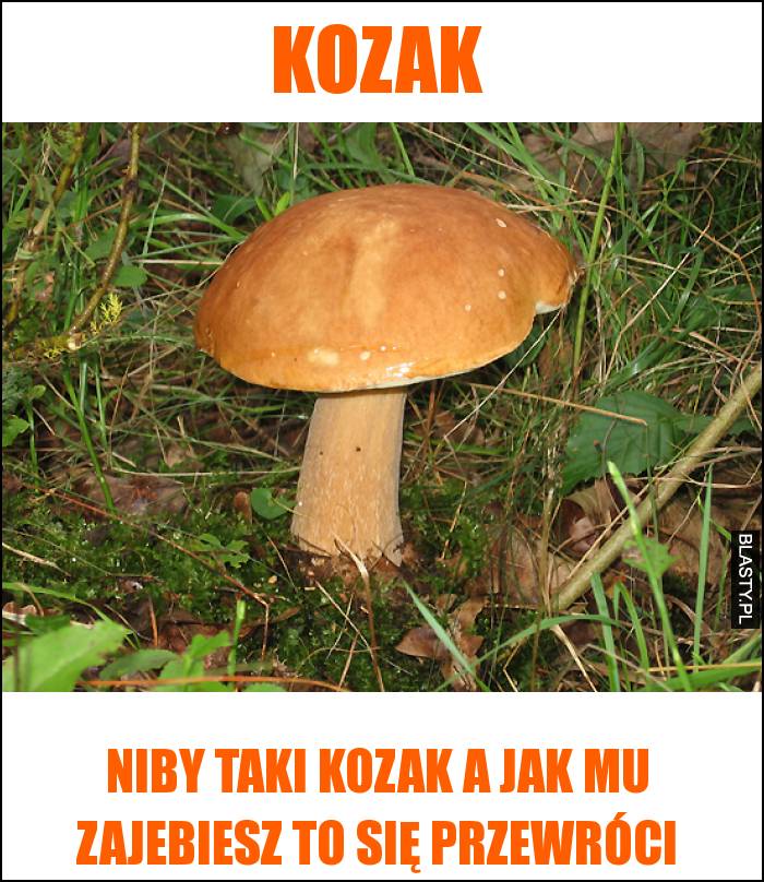 kozak-niby-taki-kozak-a-jak-mu_2016-11-0