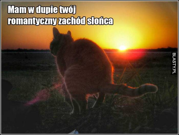 Mam w dupie twój romantyczny zachód słońca