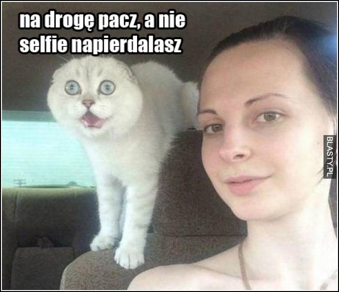 na drogę pacz, a nie selfie napierdalasz