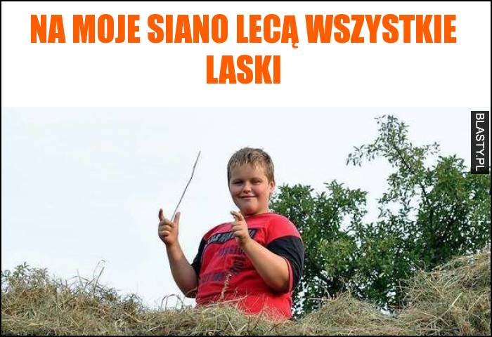 Na moje siano lecą wszystkie laski