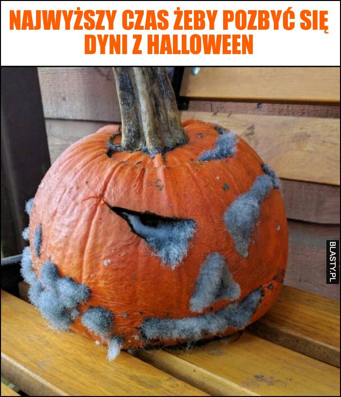 Najwyższy czas żeby pozbyć się dyni z halloween