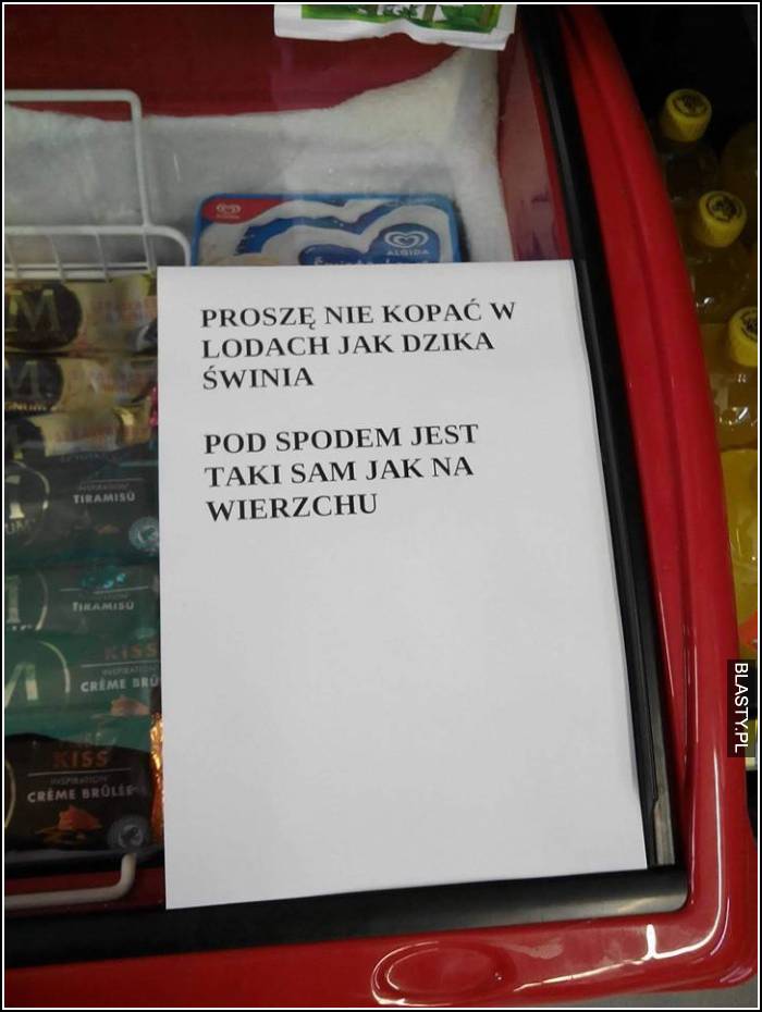 Proszę nie kopać jak dzika świnia