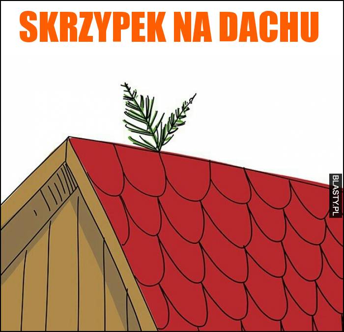 Skrzypek na dachu