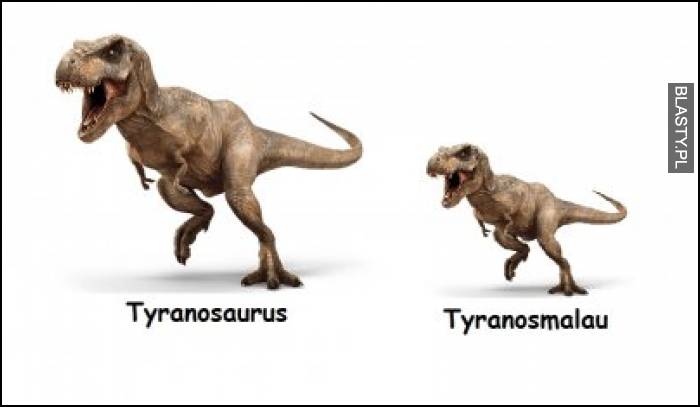 Tyranosaurus vs tyranosmalou