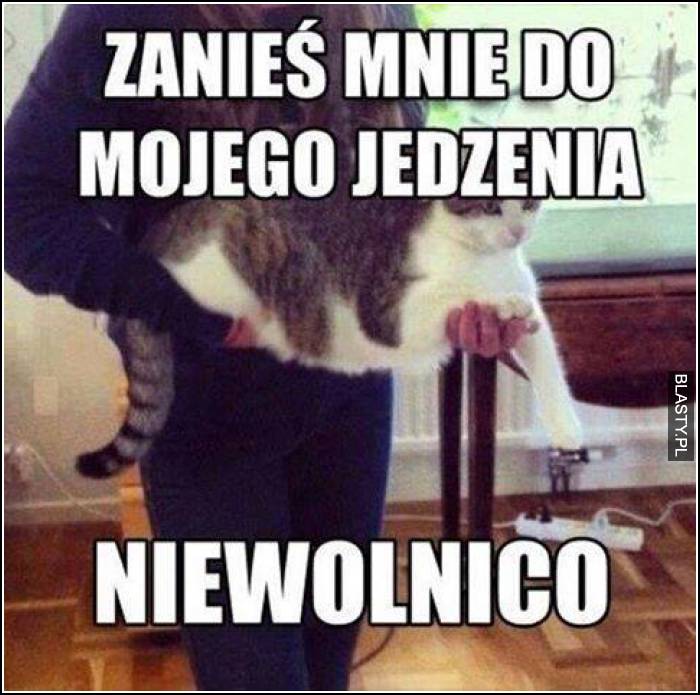 Zanieś mnie do mojego jedzenia niewolnico