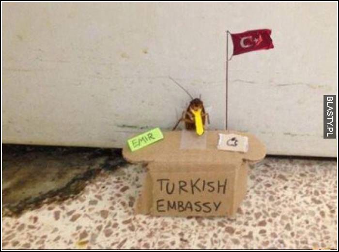 Ambasada Turecka