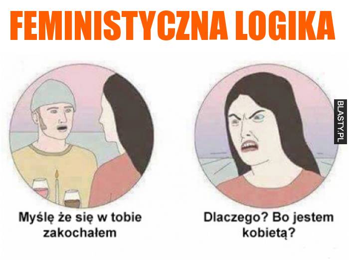 feministyczna logika