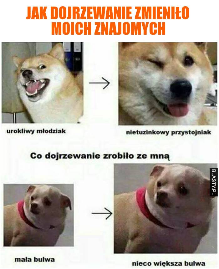 Jak dojrzewanie zmieniło moich znajomych