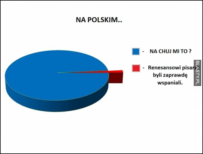 język polski w szkołach