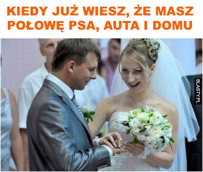 Kiedy już wiesz, że masz połowę psa, auta i domu