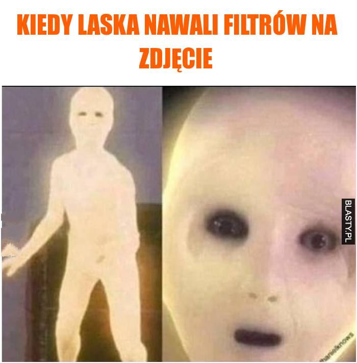 Kiedy laska nawali filtrów na zdjęcie