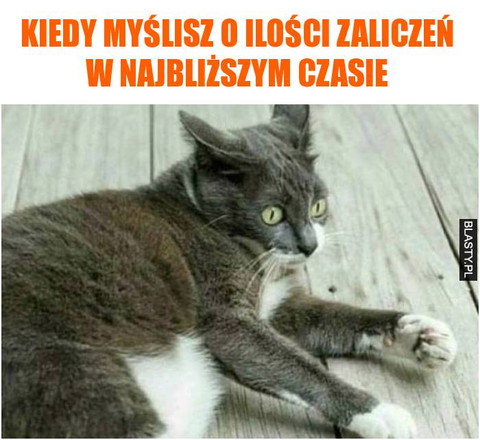 Kiedy myślisz o ilości zaliczeń w najbliższym czasie