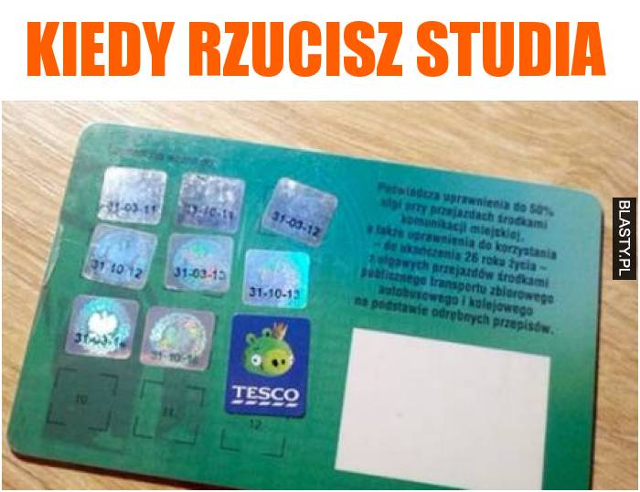 Kiedy rzucisz studia