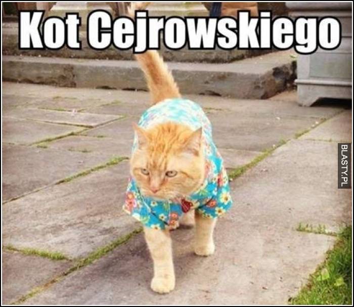 Kot Cejrowskiego