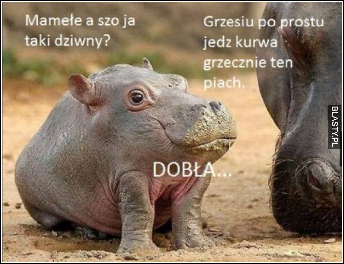 Mamełe a szo ja taki dziwny