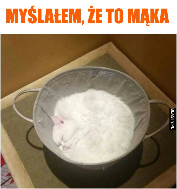 Myślałem, że to mąka