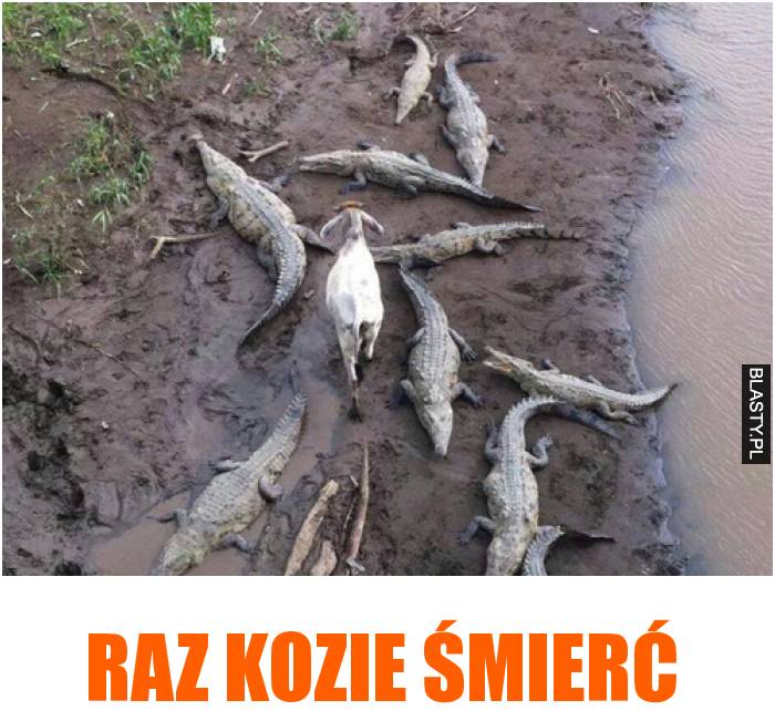 raz kozie śmierć