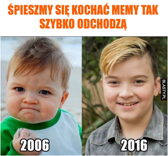 Śpieszmy się kochać memy tak szybko odchodzą