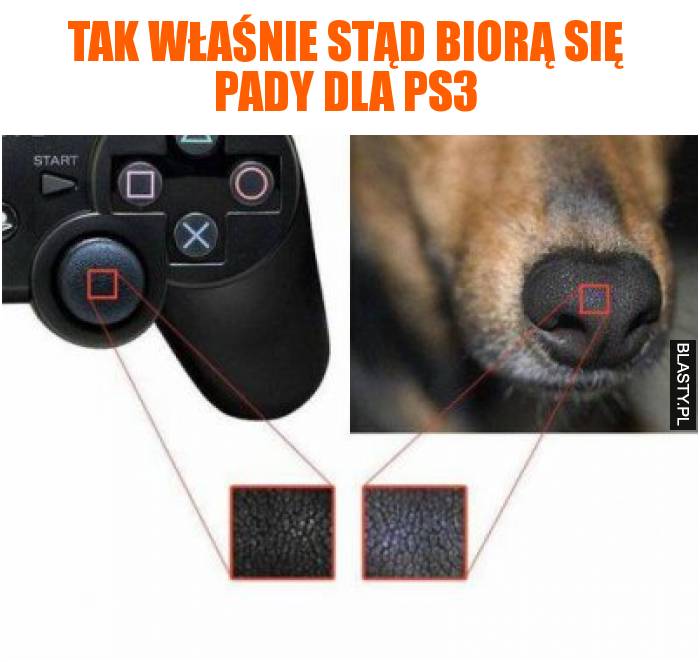 Tak właśnie stąd biorą się pady dla PS3