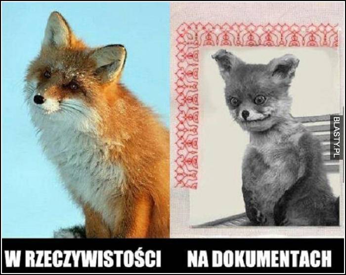 W rzeczywistości vs na dokumentach