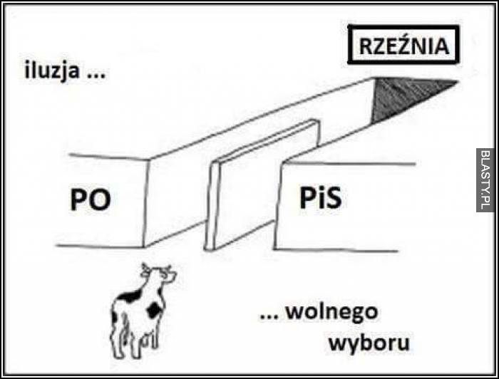 Wszyscy jesteśmy rżnięci