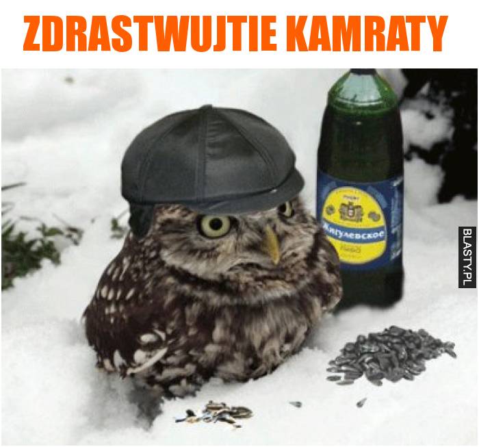 Zdrastwujtie kamraty